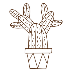 Planta de trazo de cactus