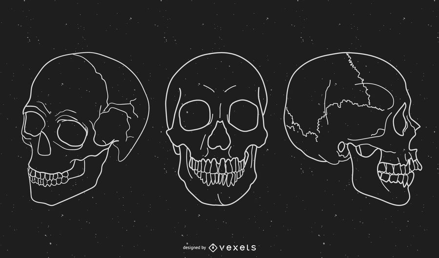 Vectores cráneo gratis Vectores cráneo gratis