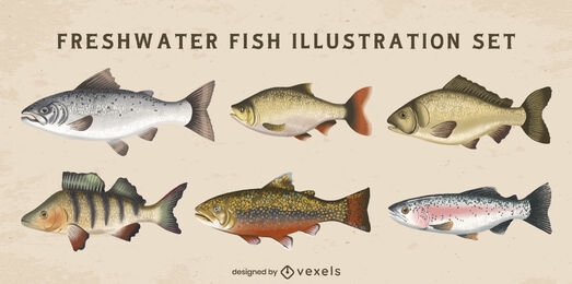 Conjunto de ilustração de animais marinhos de peixes de água doce