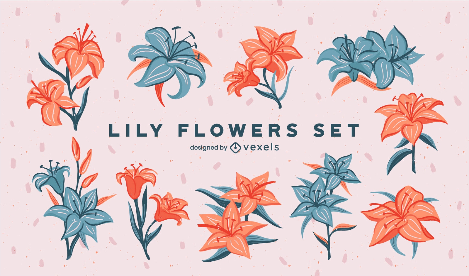 Lily flowers set design