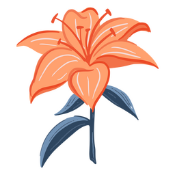 Flower nature petals icon PNG Design Transparent PNG
