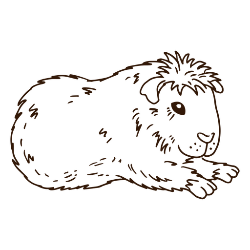 Meerschweinchen streichelt Tier PNG-Design