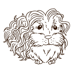 Animal de trazo de pelo largo de conejillo de Indias Diseño PNG
