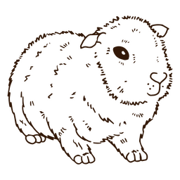 Animal de trazo de pelo corto de conejillo de Indias Diseño PNG