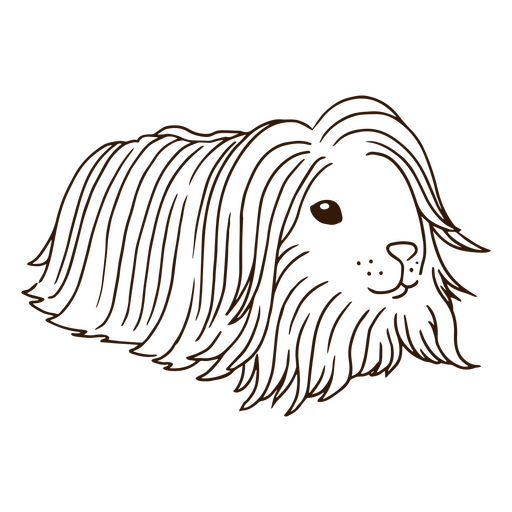 Conejillo de indias pelo largo mascota trazo animal Diseño PNG
