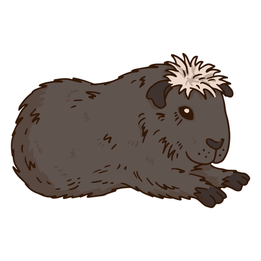 animal de estimação de cobaia Desenho PNG