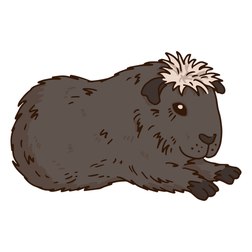 Mascota animal de conejillo de Indias Diseño PNG