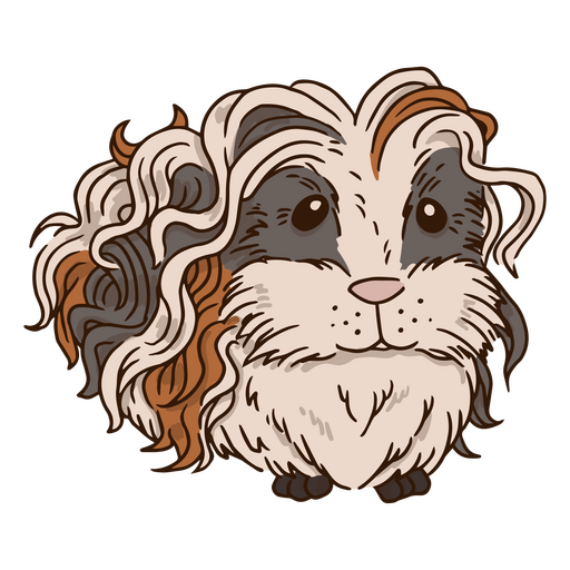 Animal de estimação de cabelo comprido de cobaia Desenho PNG