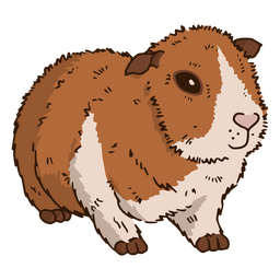 Conejillo de Indias pelo corto mascota animal Diseño PNG