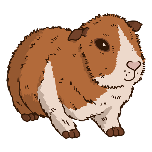Conejillo de Indias pelo corto mascota animal Diseño PNG