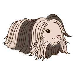 Animal de cabelo comprido de cobaia Desenho PNG Transparent PNG