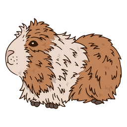 Guinea Pig Rodent Pet Animal PNG & SVG Design For T-Shirts