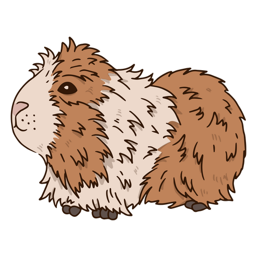 Animal de estimação roedor de cobaia Desenho PNG