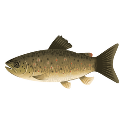 Peixes de água em aquarela de água doce Desenho PNG