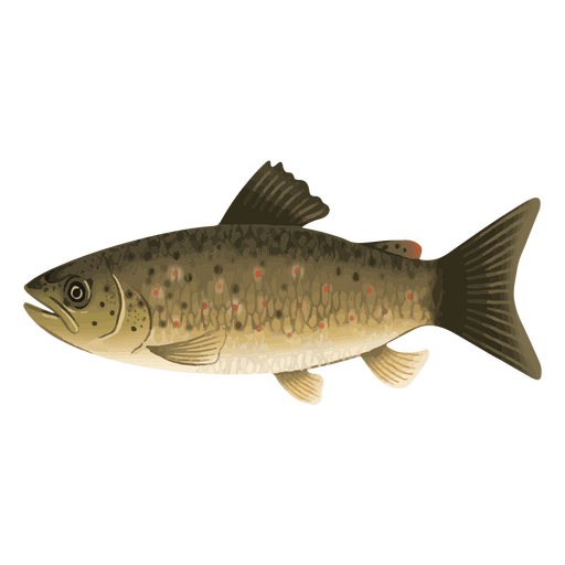 Freshwater watercolor water fish PNG Design