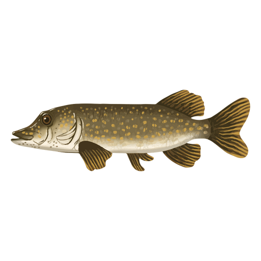 Animal de aquarela de peixe de água doce Desenho PNG