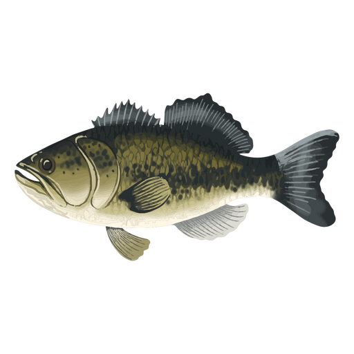 Acuarela de animales de peces de agua dulce Diseño PNG