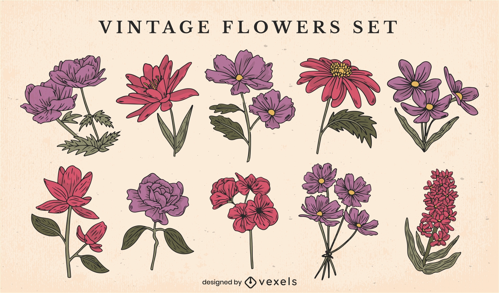 Conjunto de flores vintage diferentes