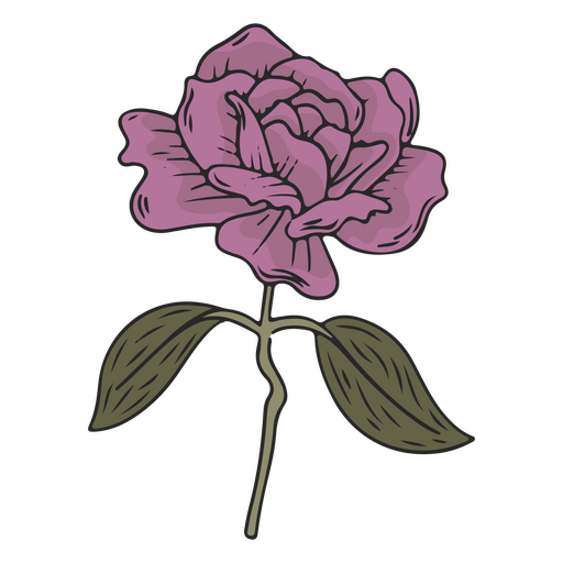 ilustração de rosa roxa Desenho PNG