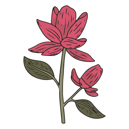 Beautiful pink flower color stroke PNG Design