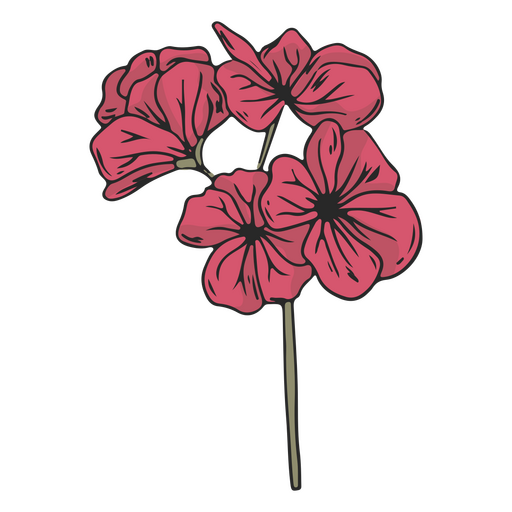 Vintage pink flowers color stroke PNG Design