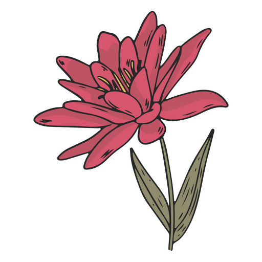 Trazo de color de flor rosa vintage Diseño PNG
