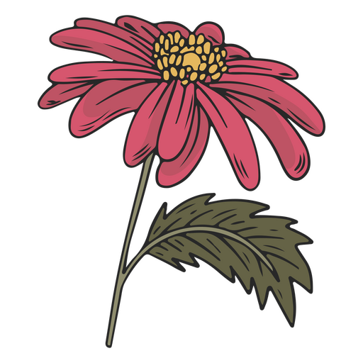 Flor de traçado de cor rosa e amarela Desenho PNG