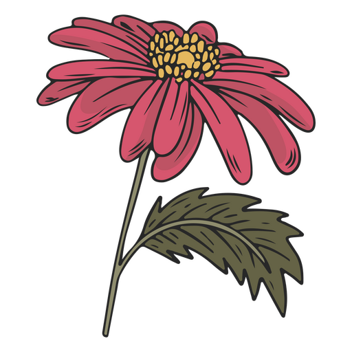 Flor de trazo de color rosa y amarillo. Diseño PNG