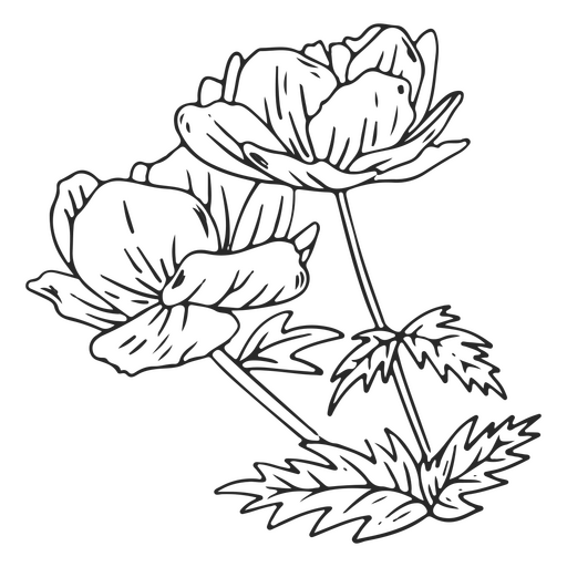 Flores de traços vintage Desenho PNG