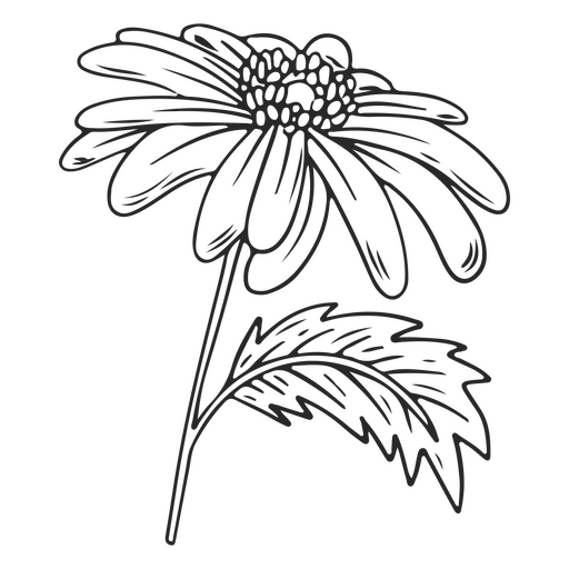 Vintage de flor de tra?o delicado Desenho PNG