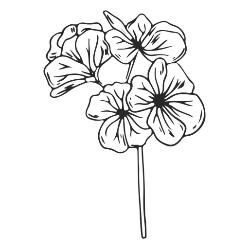 Vintage Blumen Schlaganfall PNG-Design