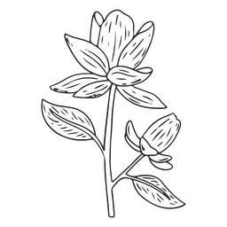Blumenstrich Jahrgang PNG-Design