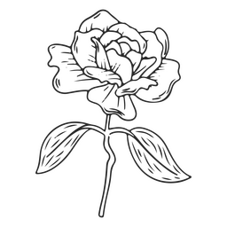 Rosa de traço vintage Desenho PNG