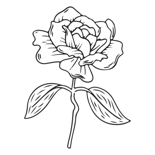 Rosa de traço vintage Desenho PNG