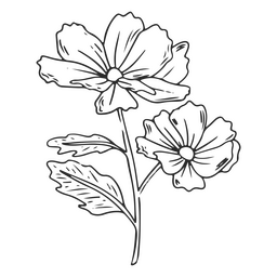 Lindas flores de trazo Diseño PNG