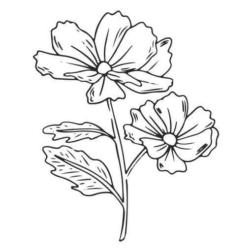 Niedliche Strichblumen PNG-Design