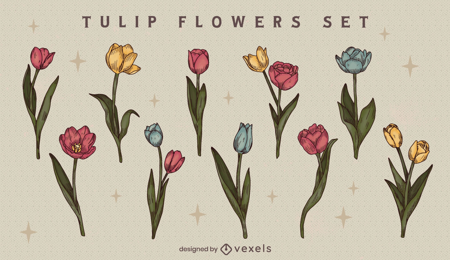Tulip flowers set design