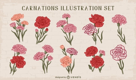 Carnation flowers set design