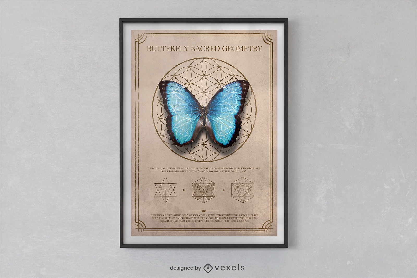 Mariposa en cartel psd de forma geométrica