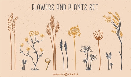 Conjunto de naturaleza de flores y plantas.