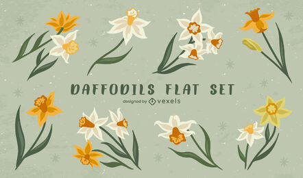 Daffodil flowers yellow and flight flat set