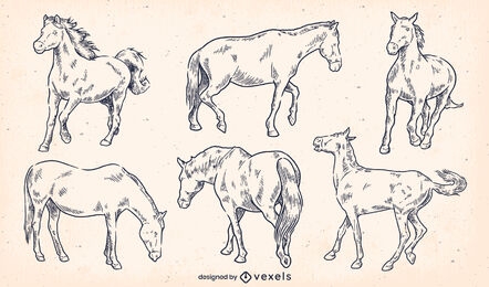 cenografia de cavalo desenhada de mão