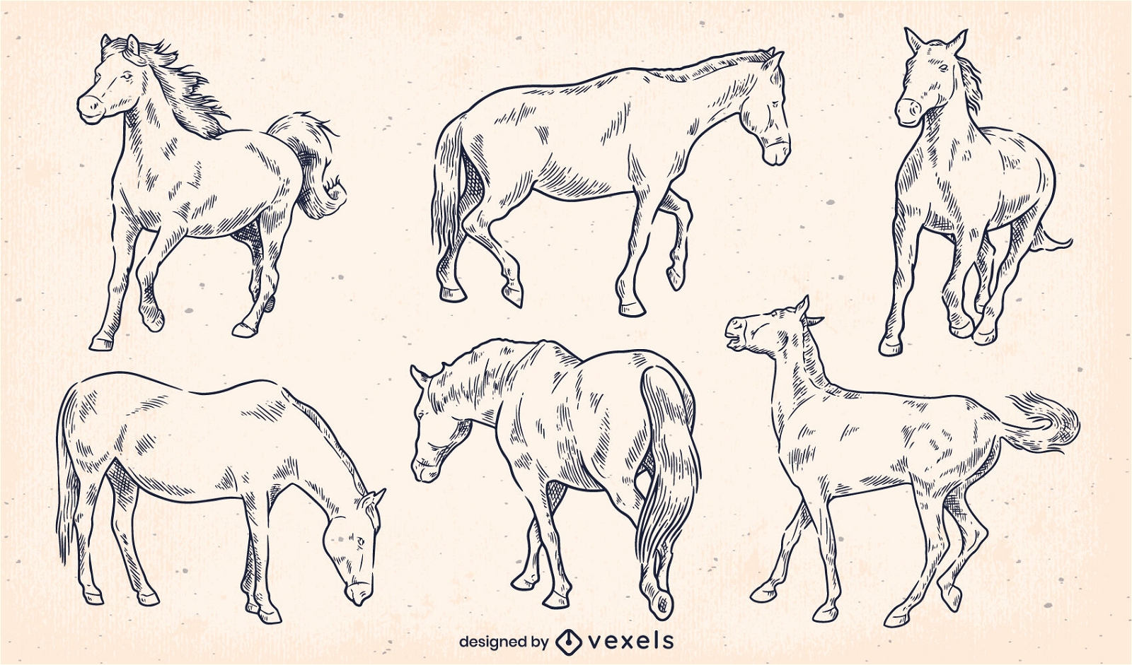 Diseño de escenografía de caballos dibujados a mano
