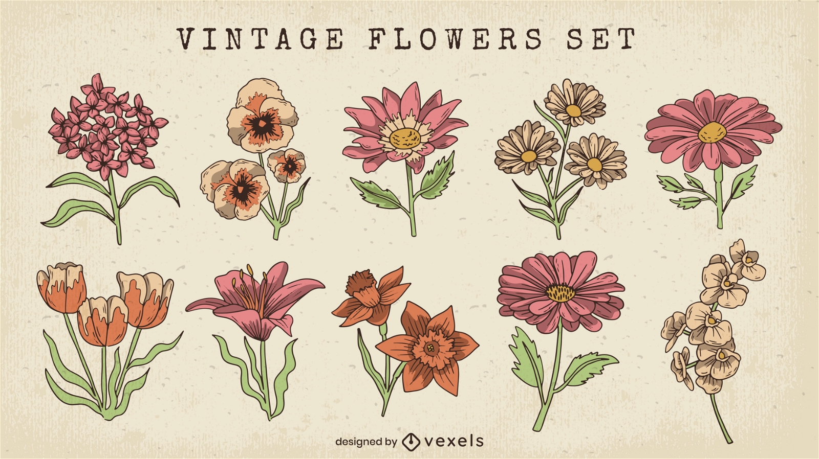 Conjunto de flores detalladas vintage