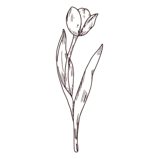 Ícone de arte de linha de natureza tulipa Desenho PNG