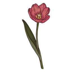 Icono de naturaleza de flor de tulipán Diseño PNG Transparent PNG