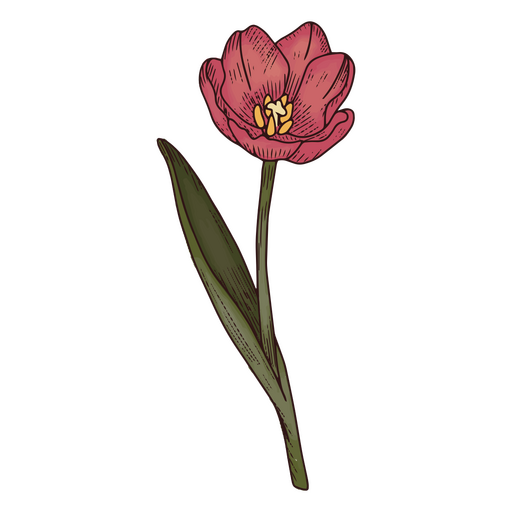 Icono de naturaleza de flor de tulipán Diseño PNG