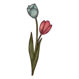 Icono de flores de tulipán Diseño PNG