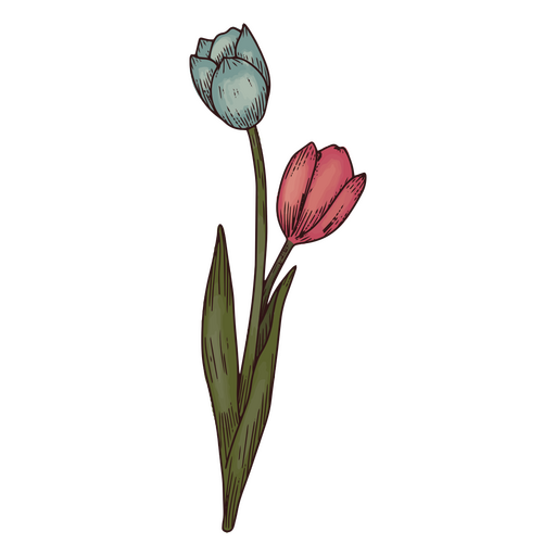 ícone de flores de tulipa Desenho PNG