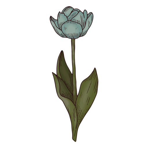 ícone de natureza floral tulipa Desenho PNG
